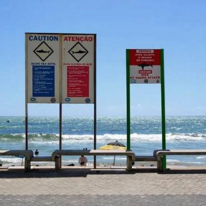 Entenda os fatores por trás dos ataques de tubarão em Recife