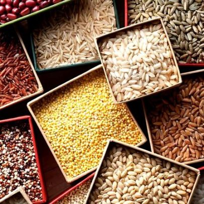 Diferença entre cereal e grão explicada de forma objetiva