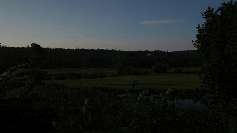 Typical landscape in Vietnam that’s suitable for growing Coffea canephora. Photo by Michael Tatarski