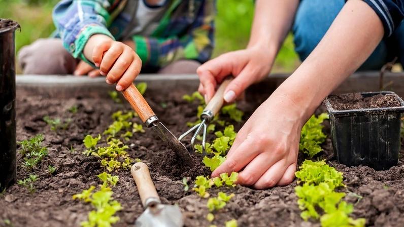 Why Christians Should Care about Earth Day