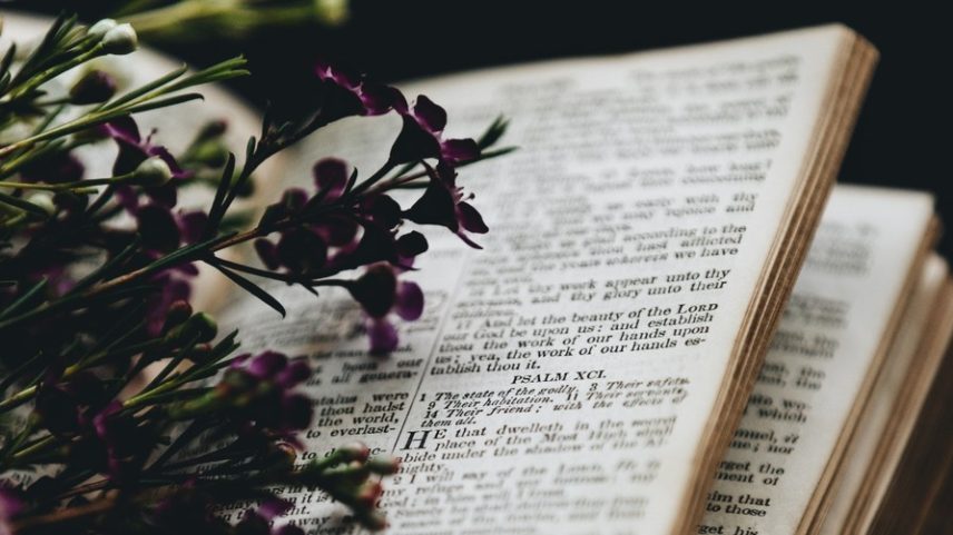 10 Surprising Teachings from Song of Solomon