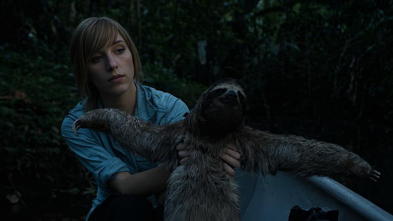 Rebecca Cliffe, sloth biologist, examining a Brown-throated Three-toed Sloth (Bradypus variegatus) at Aviarios Sloth Sanctuary, Costa Rica. Photo courtesy of Suzi Eszterhas.