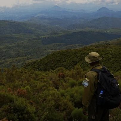 Seis guardas florestais mortos em ataque de milícia no Parque Nacional Virunga