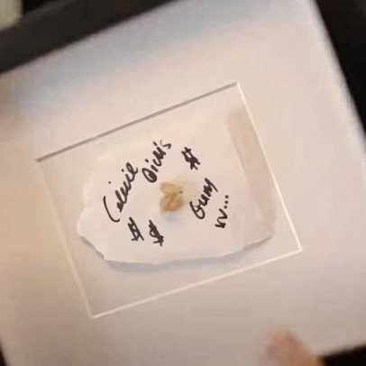 Celine Dion emoldura chiclete de Adele como sua maior posse