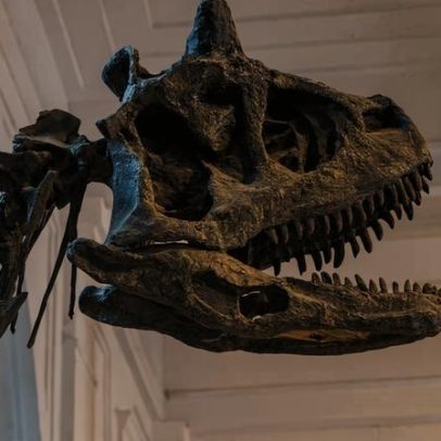 Dinossauros em São Paulo são vistos em parques, museus e até hamburguerias