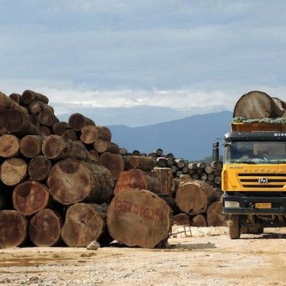 Sanções não impedem EUA de importar teca de Mianmar, aponta relatório