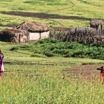 Mundo perde tradição de mutualismo entre homem e animal, aponta estudo