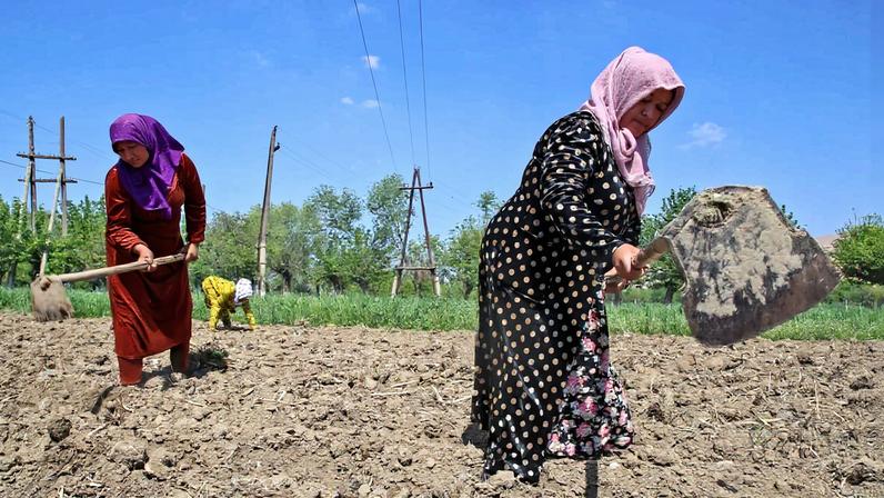 Farmers tending to their agricultural land in Uzbekistan. Image by Petro Kotzé.