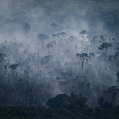 Quanto tempo resta para o futuro? Perspectivas e limites