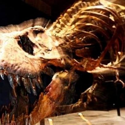 Mistério dos braços do T. rex que a ciência tenta desvendar há 120 anos