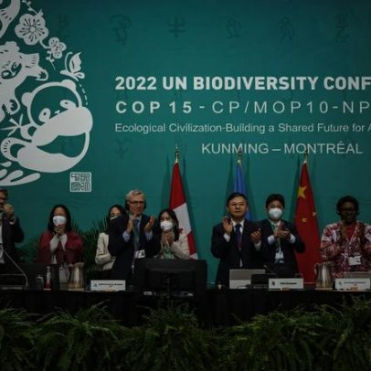 Nações aprovam o Quadro Global de Biodiversidade Kunming-Montreal