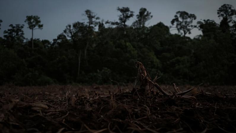 Deforestation in Indonesia. (Photo by Rhett A. Butler)