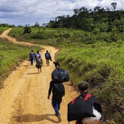 Seis meses, crise Yanomami permanece com aumento da violência