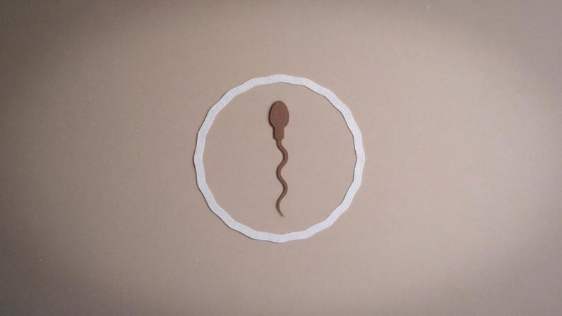 Calculadora de fertilidade e ovulação