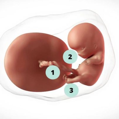 Gravidez de 10 semanas: mudanças típicas e cuidados no início