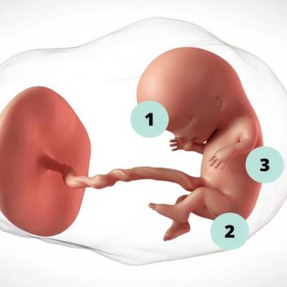 Gravidez de 11 semanas: o que esperar neste estágio