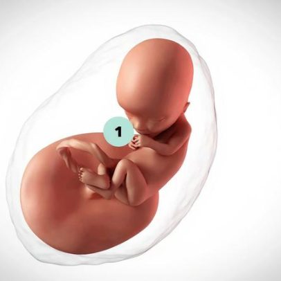 Gravidez de 13 semanas: principais mudanças e cuidados