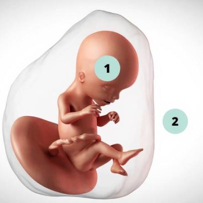 Gravidez de 17 semanas: o que esperar neste estágio