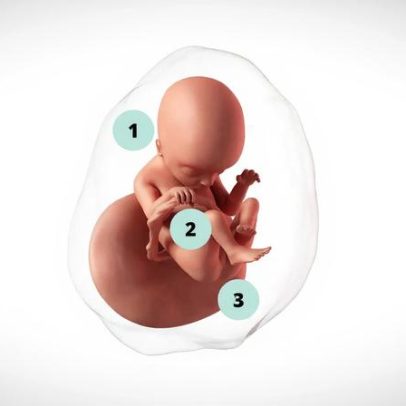 Gravidez de 18 semanas: desenvolvimento fetal e cuidados essenciais