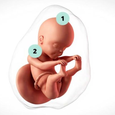 Gravidez de 25 semanas: avanços e cuidados gestacionais