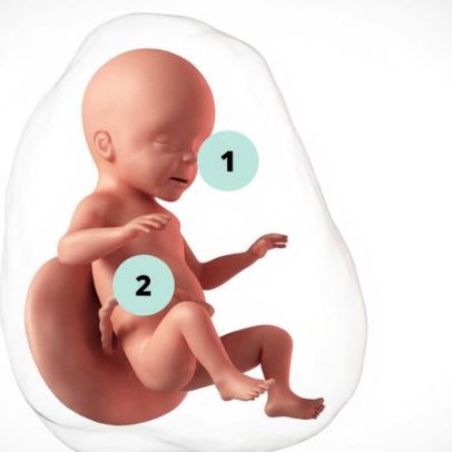 Gravidez de 26 semanas: o que esperar no segundo trimestre