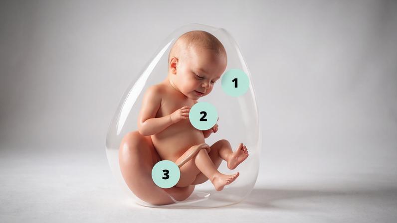 28 semanas de gravidez