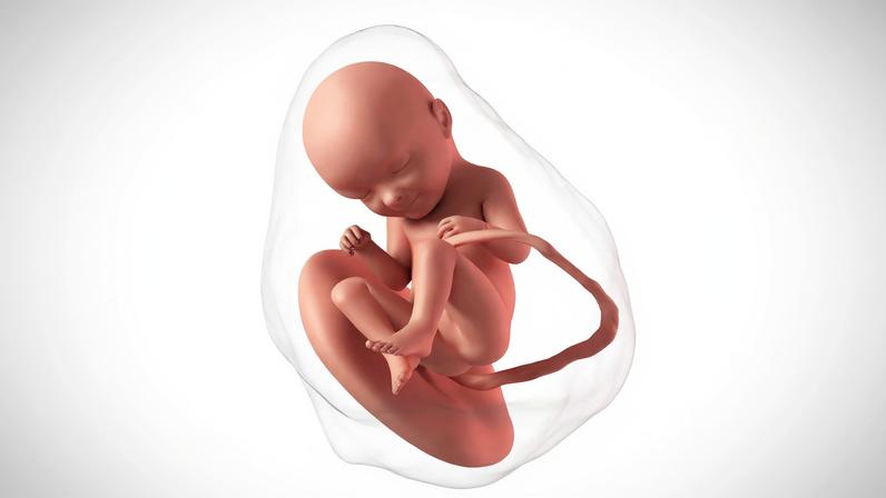 1. Os ossos do crânio ainda são mais flexíveis, para permitir a passagem do bebê pelo canal vaginal, durante o parto normal. 2. As pupilas do feto podem mudar de tamanho em resposta a um estímulo causado pela luz — Foto: Getty Images