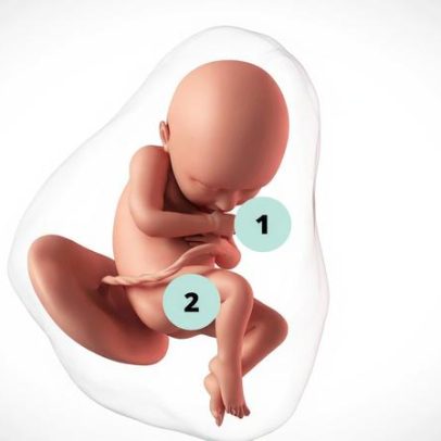 Gravidez de 36 semanas: o que esperar até o parto
