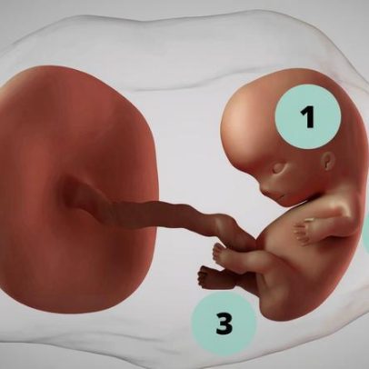 Gravidez de 9 semanas: o que acontece no desenvolvimento do bebê