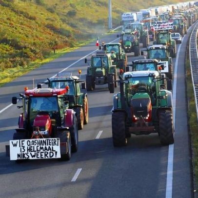Holanda avalia futuro diante de protestos agrícolas e ecossistemas em declínio