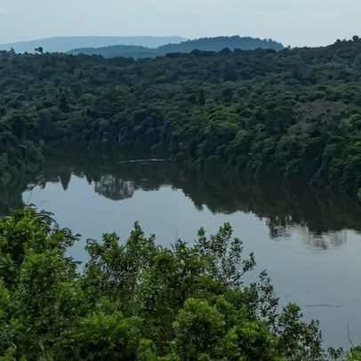 Grupos ambientais criticam chegada de fazendeiros Mennonitas à Suriname