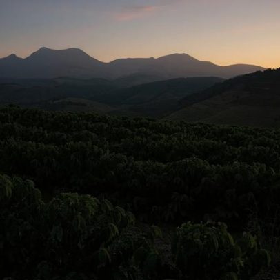 Mudanças climáticas podem ameaçar o café brasileiro