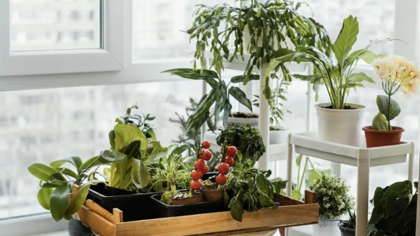 Próximo à janela do apartamento, o mix de vasos ajudou a criar uma pequena área verde