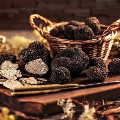 Como harmonizar bebidas com a trufa negra
