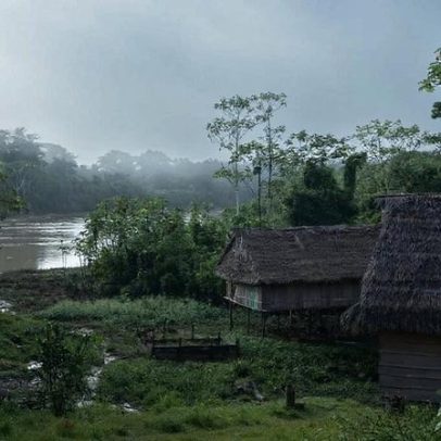 Alegações de apoio da ONU levam povos indígenas a ceder direitos florestais