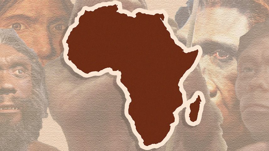 Grupo de pesquisa cria banco de dados que reúne medidas anatômicas dos humanos primitivos e defende hipótese de que nossa espécie tem uma origem única no continente africano