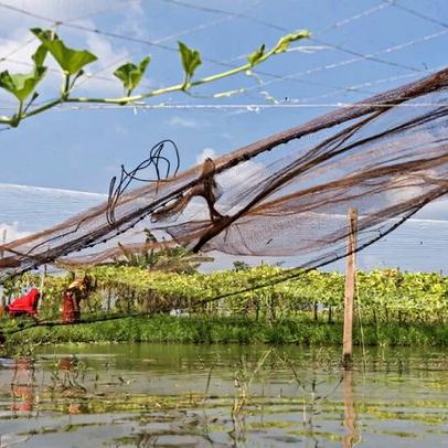 Poluição coloca em risco o abastecimento global de água limpa, aponta estudo