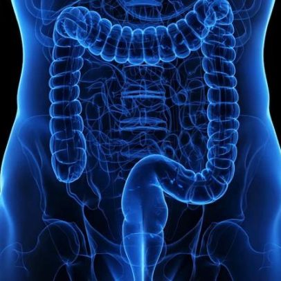 Microbiota: o que é, como surge e como afeta a saúde