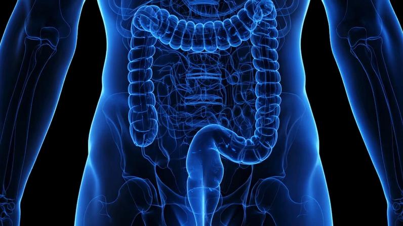 Opinião | Microbiota: O que é? Como surge? Por que afeta a saúde? Entenda ecossistema dentro do nosso corpo