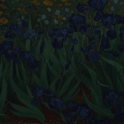 Pólen preso em tinta revela onde Van Gogh pintou as Iris