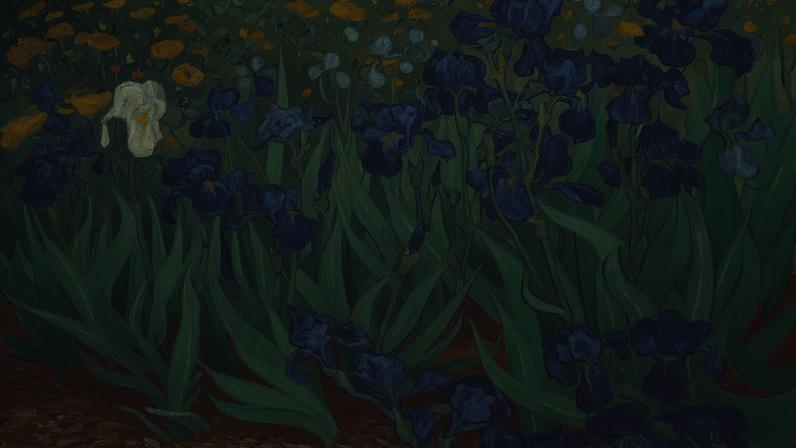 Van Gogh’s *Irises* (May 1889)