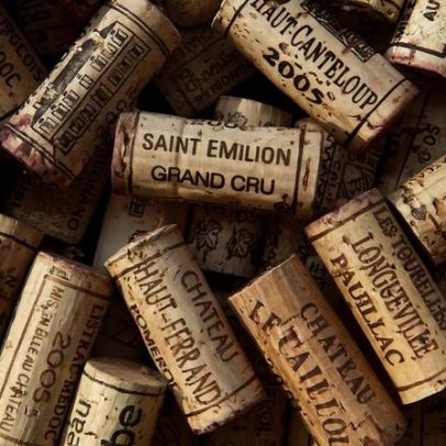 Bordeaux: diferenças entre Margem Esquerda e Margem Direita