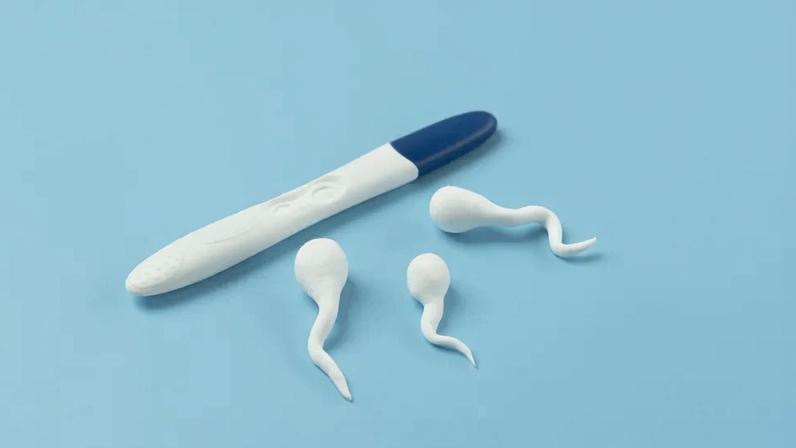 O que você precisa saber sobre a sua fertilidade — Foto: Freepik
