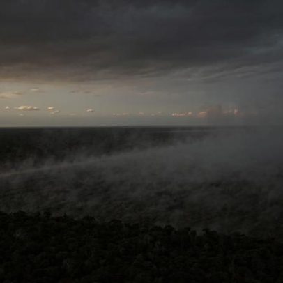 UE avalia adiar lei anti-desmatamento sob pressão do agronegócio