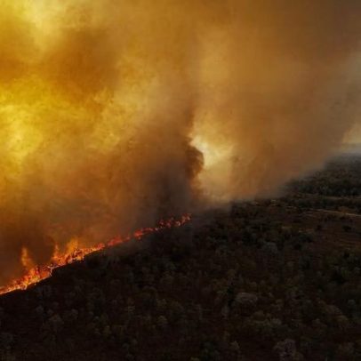 Urgência em proteger o Pantanal para evitar perda permanente