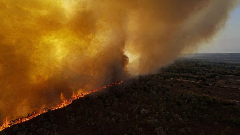 Fire in the Pantanal. Image courtesy of Gustavo Figueiroa via Environmental Justice Foundation.