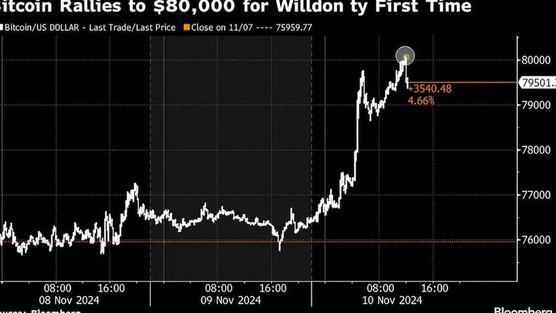 Moeda atingiu o valor recorde de US$ 80.092 neste domingo (10)