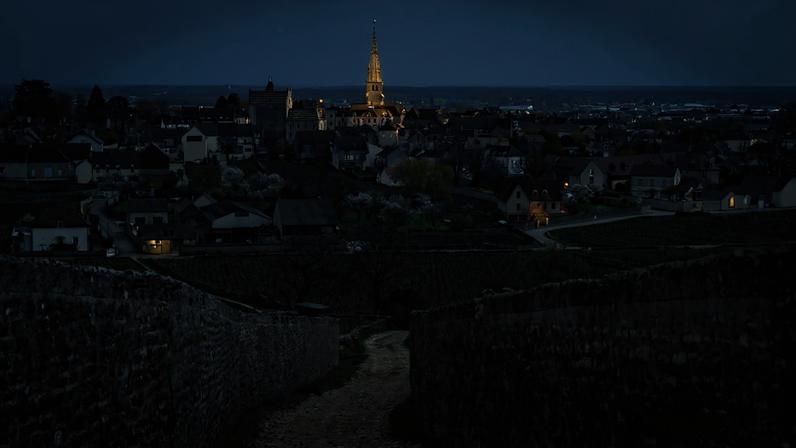 The village of Meursault and its vineyards.