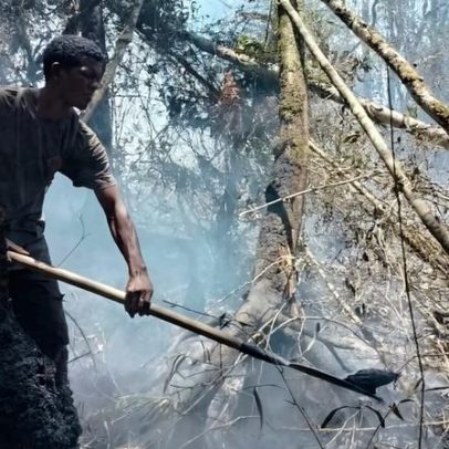Incêndio 'Nightmare' ameaça parque nacional icônico de Madagascar