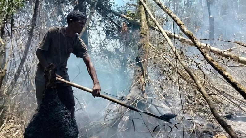 A community member participates in firefighting efforts in Ranomafana National Park. Image courtesy of Fabrice Odon Rasolomampionona/Centre ValBio.